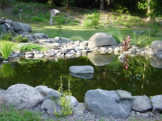koi-pond-web